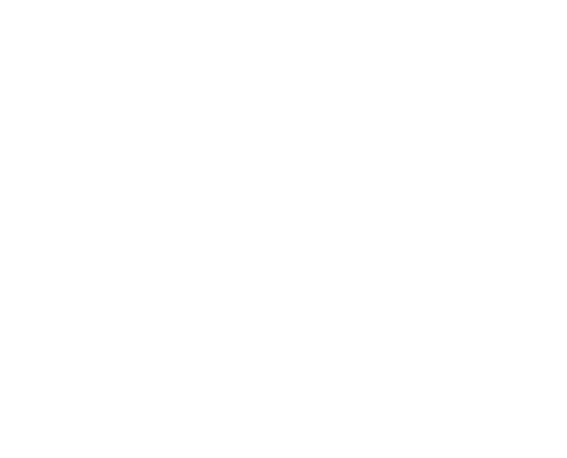 home-icon 2.png
